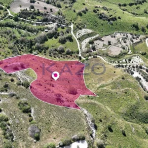 11,028m² Plot for Sale in Mesa Chorio, Paphos District