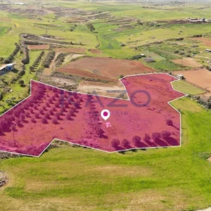 9,786m² Plot for Sale in Palaiometocho, Nicosia District