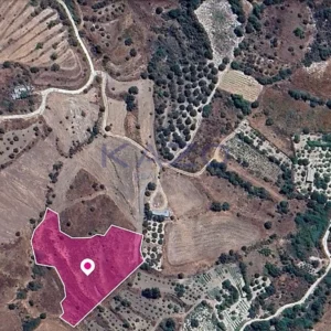 8,027m² Plot for Sale in Pano Panagia, Paphos District