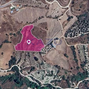 8,027m² Plot for Sale in Pano Panagia, Paphos District