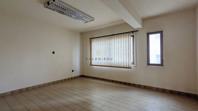 1135m² Commercial for Sale in Nicosia District