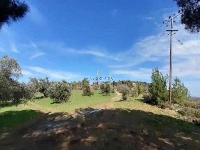 30,770m² Plot for Sale in Larnaca District