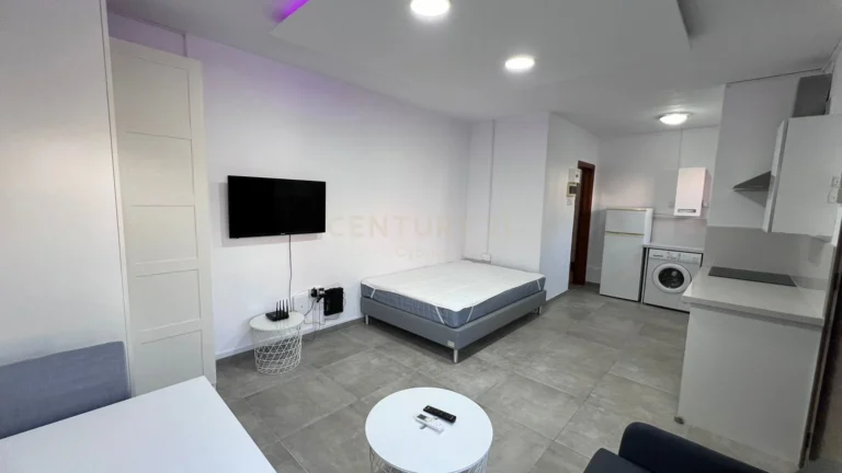 1 Bedroom Apartment for Rent in Limassol District