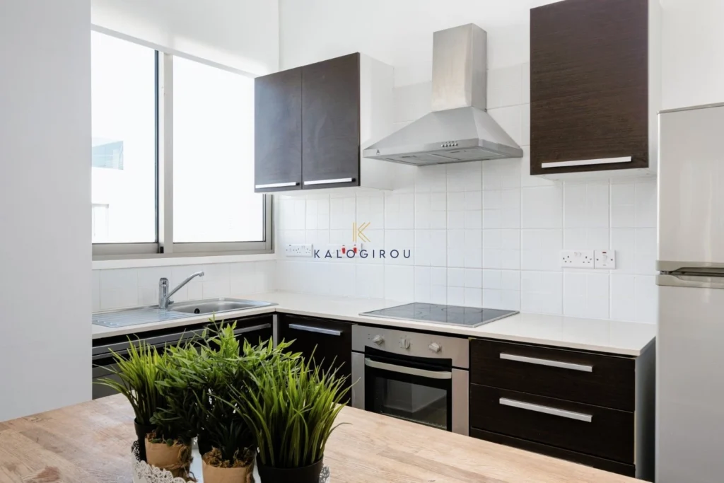 2 Bedroom Apartment for Rent in Larnaca District