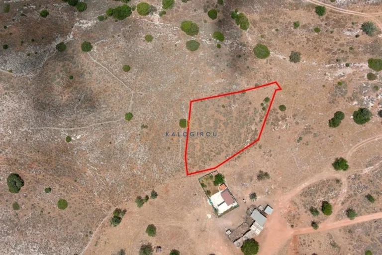 101,028m² Plot for Sale in Paphos – Agios Theodoros