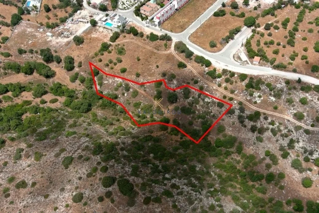 101,028m² Plot for Sale in Paphos – Agios Theodoros