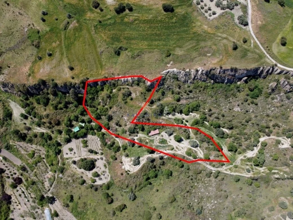 14,047m² Plot for Sale in Lasa, Paphos District