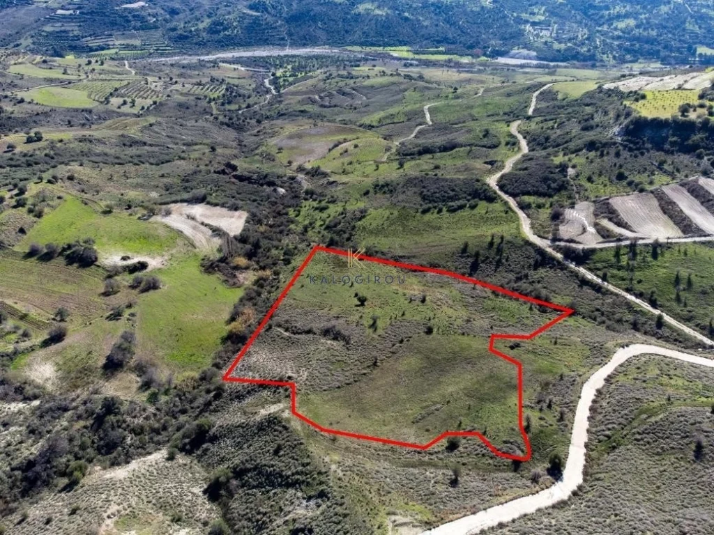 17,057m² Plot for Sale in Trachypedoula, Paphos District