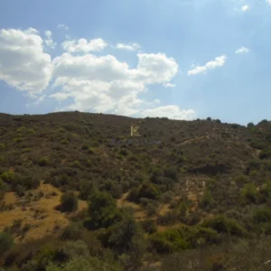 10,368m² Plot for Sale in Vikla, Limassol District