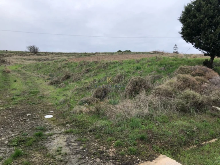 7,565m² Plot for Sale in Kritou Tera, Paphos District