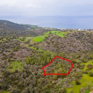 5,352m² Plot for Sale in Neo Chorio Pafou, Paphos District