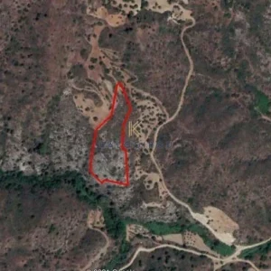 21,406m² Plot for Sale in Vasa Kellakiou, Limassol District