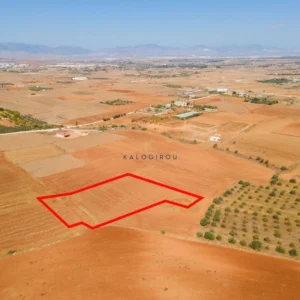 5,640m² Plot for Sale in Agioi Trimithias, Nicosia District