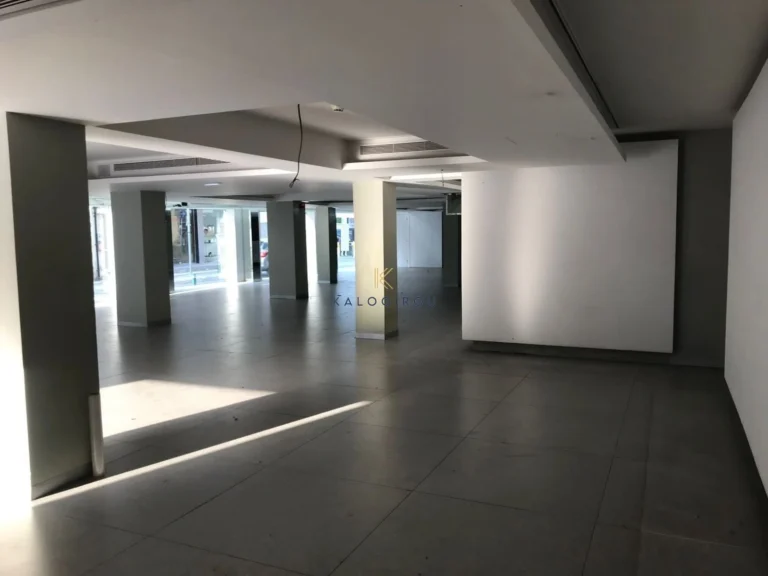 650m² Commercial for Rent in Larnaca District