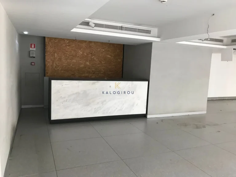 650m² Commercial for Rent in Larnaca District