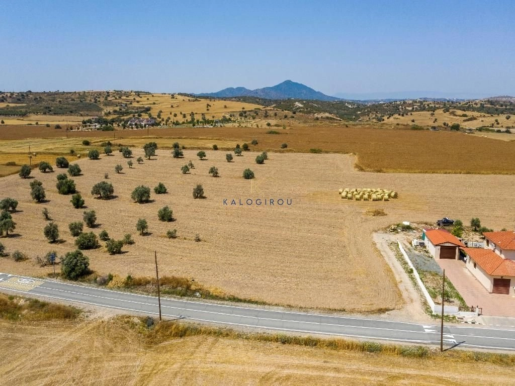 9,636m² Plot for Sale in Alaminos, Larnaca District