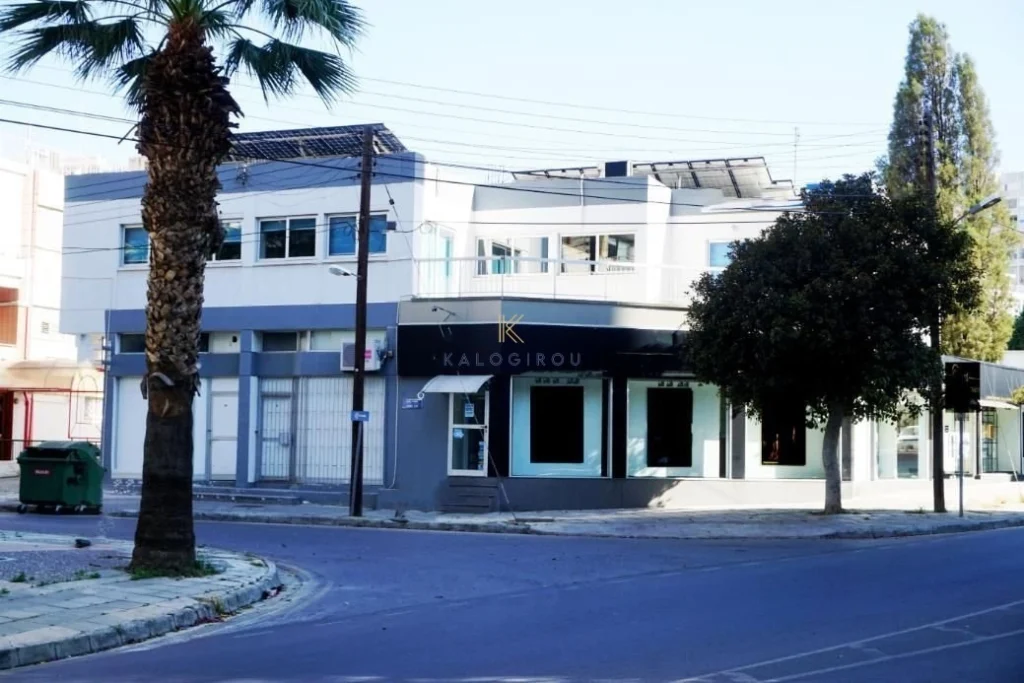 559m² Building for Sale in Agioi Omologites, Nicosia District