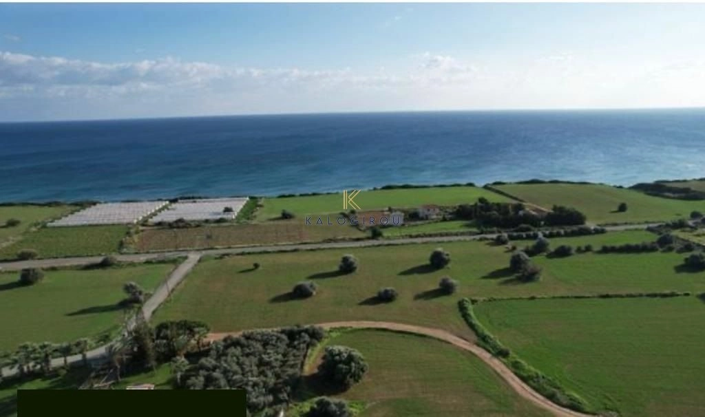 12,320m² Plot for Sale in Agios Theodoros, Larnaca District