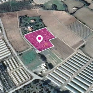 5,393m² Plot for Sale in Maroni, Larnaca District