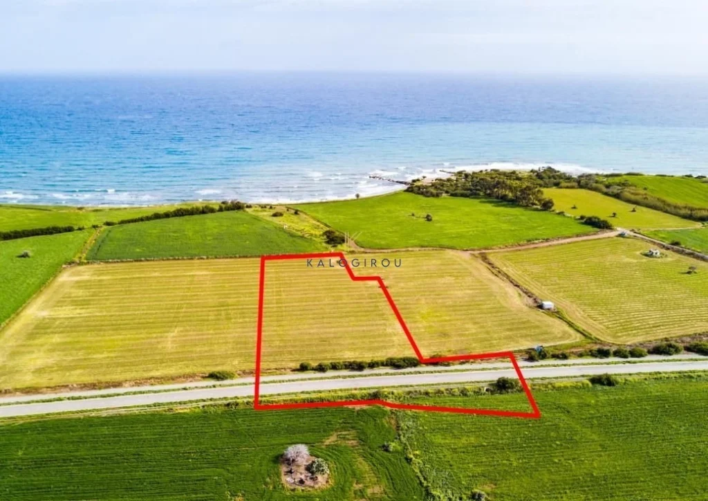 16,686m² Plot for Sale in Mazotos, Larnaca District