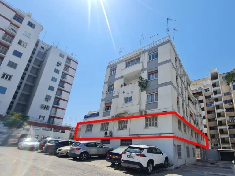 315m² Office for Sale in Agioi Omologites, Nicosia District