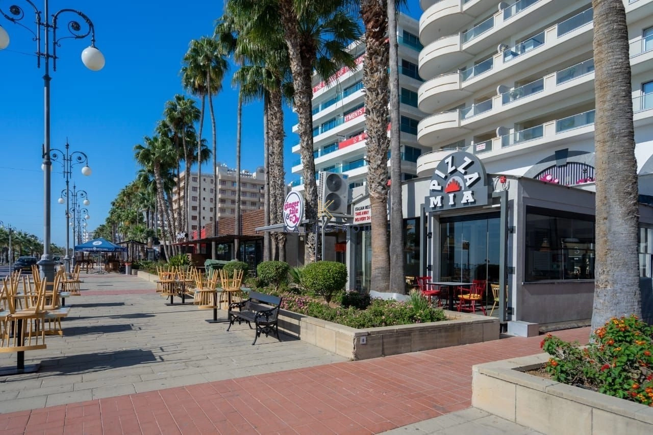 1 Bedroom Apartment for Rent in Larnaca District
