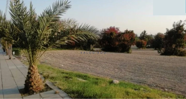 9,167m² Plot for Sale in Larnaca District