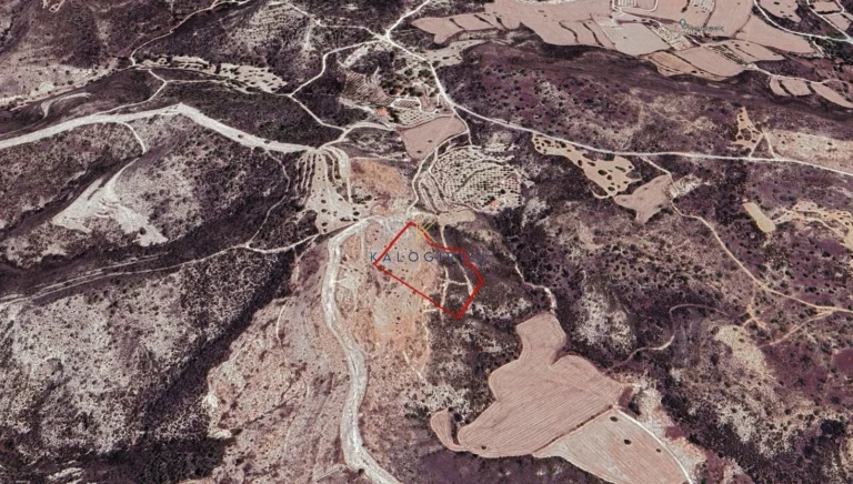 11,706m² Plot for Sale in Tochni, Larnaca District