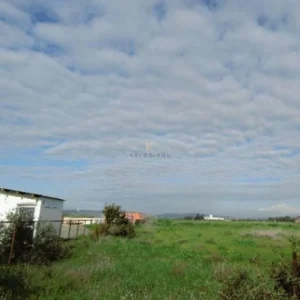 73,716m² Plot for Sale in Dromolaxia, Larnaca District