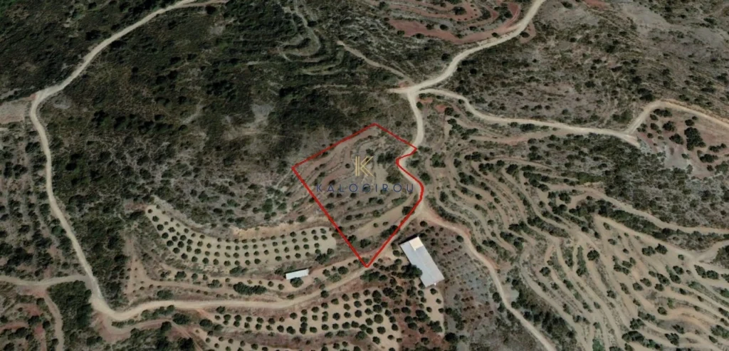 4,348m² Plot for Sale in Agioi Vavatsinias, Larnaca District