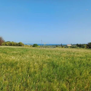 7,209m² Plot for Sale in Mazotos, Larnaca District