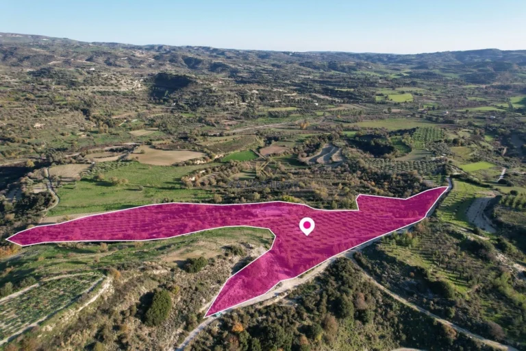 26,273m² Plot for Sale in Choulou, Paphos District