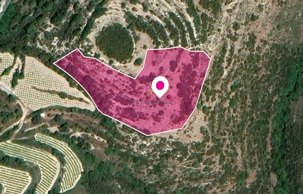 8,696m² Plot for Sale in Koili, Paphos District