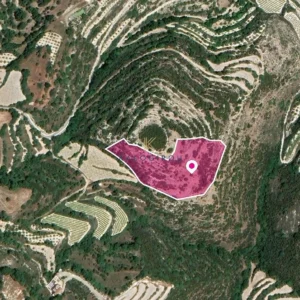 8,696m² Plot for Sale in Koili, Paphos District