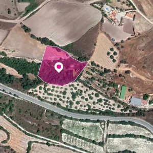 6,021m² Plot for Sale in Simou, Paphos District