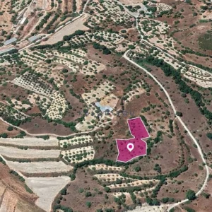 3,345m² Plot for Sale in Choulou, Paphos District