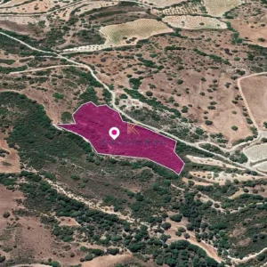 4,682m² Plot for Sale in Choulou, Paphos District