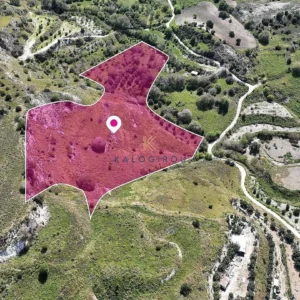 11,028m² Plot for Sale in Mesa Chorio, Paphos District