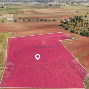 5,640m² Plot for Sale in Agioi Trimithias, Nicosia District