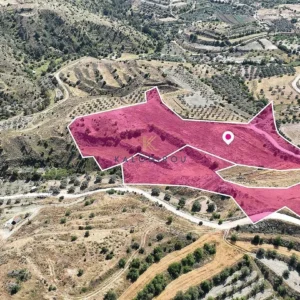 24,904m² Plot for Sale in Pera, Nicosia District