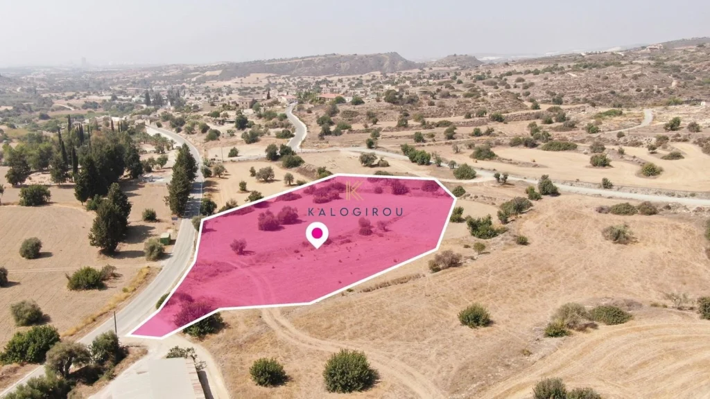 9,000m² Plot for Sale in Tochni, Larnaca District