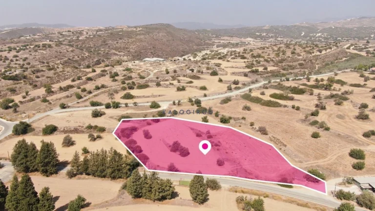 9,000m² Plot for Sale in Tochni, Larnaca District