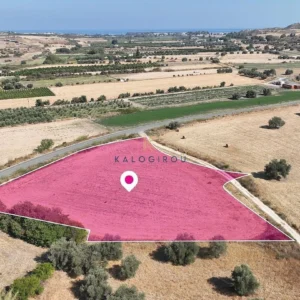 5,650m² Plot for Sale in Chrysochou, Paphos District