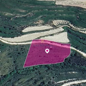 8,027m² Plot for Sale in Koili, Paphos District