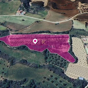 17,119m² Plot for Sale in Goudi, Paphos District