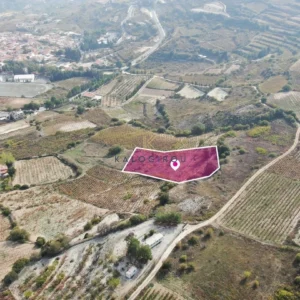 4,017m² Plot for Sale in Omodos, Limassol District