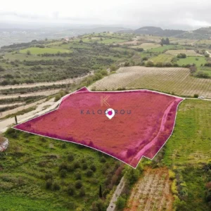 7,024m² Plot for Sale in Kathikas, Paphos District