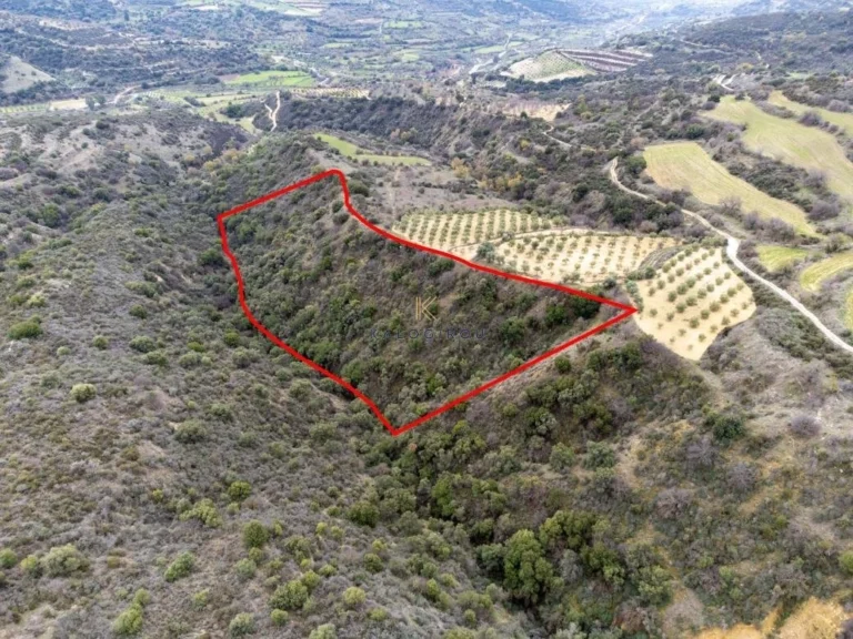 115,274m² Plot for Sale in Agios Dimitrianos, Paphos District