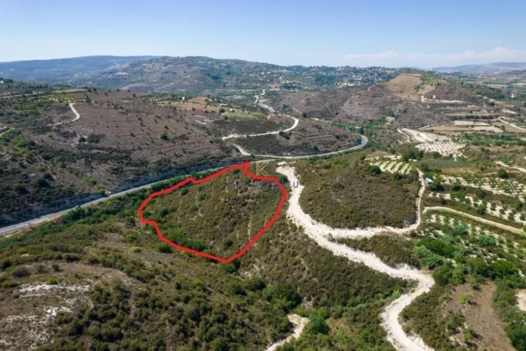 15,064m² Plot for Sale in Kallepeia, Paphos District