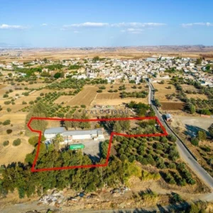 890m² Commercial for Sale in Orounta, Nicosia District